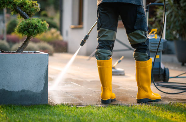 Best House Pressure Washing  in Sun Village, CA